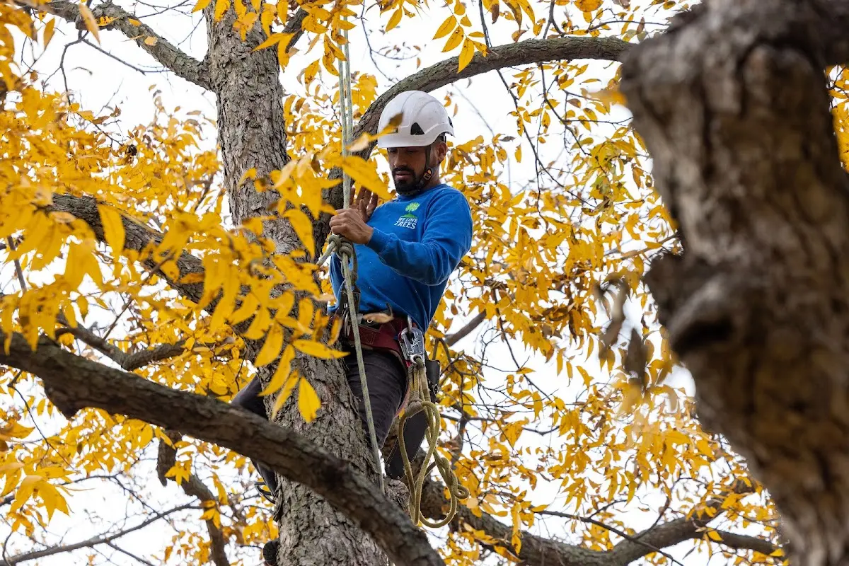 Skilled Storm Damage Cleanup crew working in Round Hill